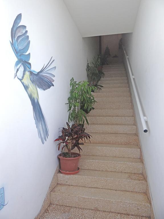 Apartamentos Dominguez Calera المظهر الخارجي الصورة
